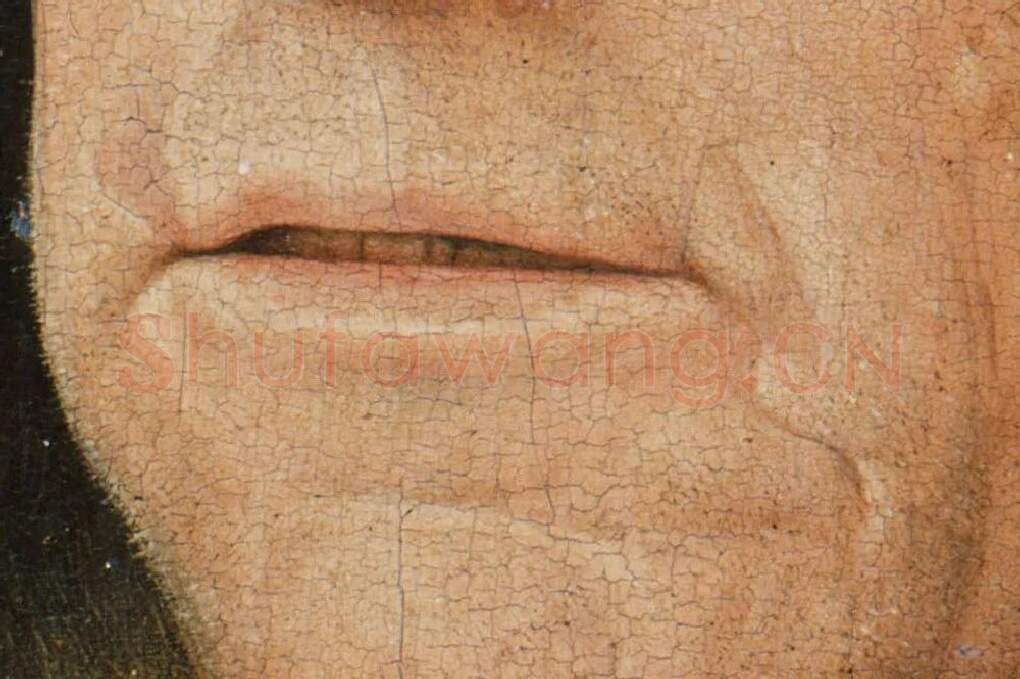 扬·凡·爱克油画头像作品《拿着康乃馨的男人肖像》局部 (3)