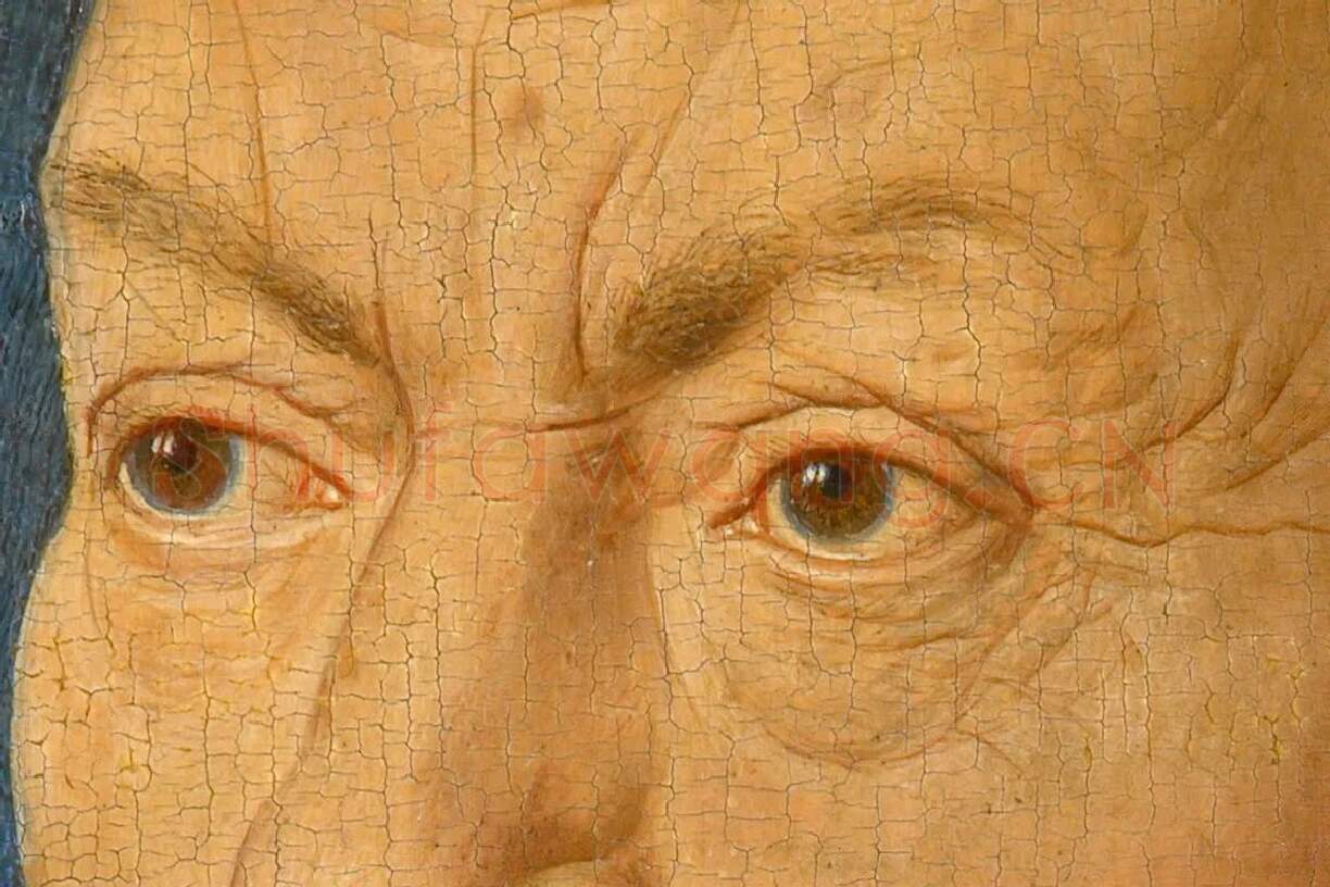 扬·凡·艾克肖像画作品《红衣主教尼科洛·阿尔贝加蒂》局部 (1)