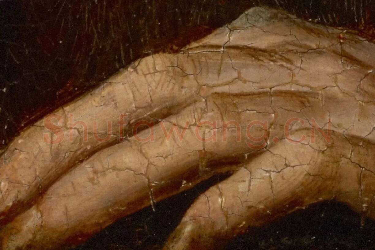 扬·凡·艾克油画肖像《戴蓝色头巾的男人肖像》局部 (6)