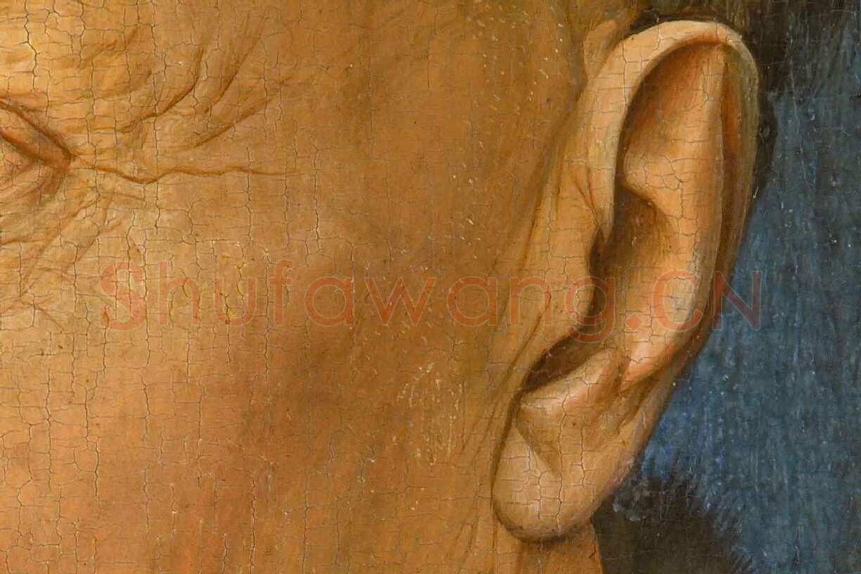 扬·凡·艾克肖像画作品《红衣主教尼科洛·阿尔贝加蒂》局部 (4)