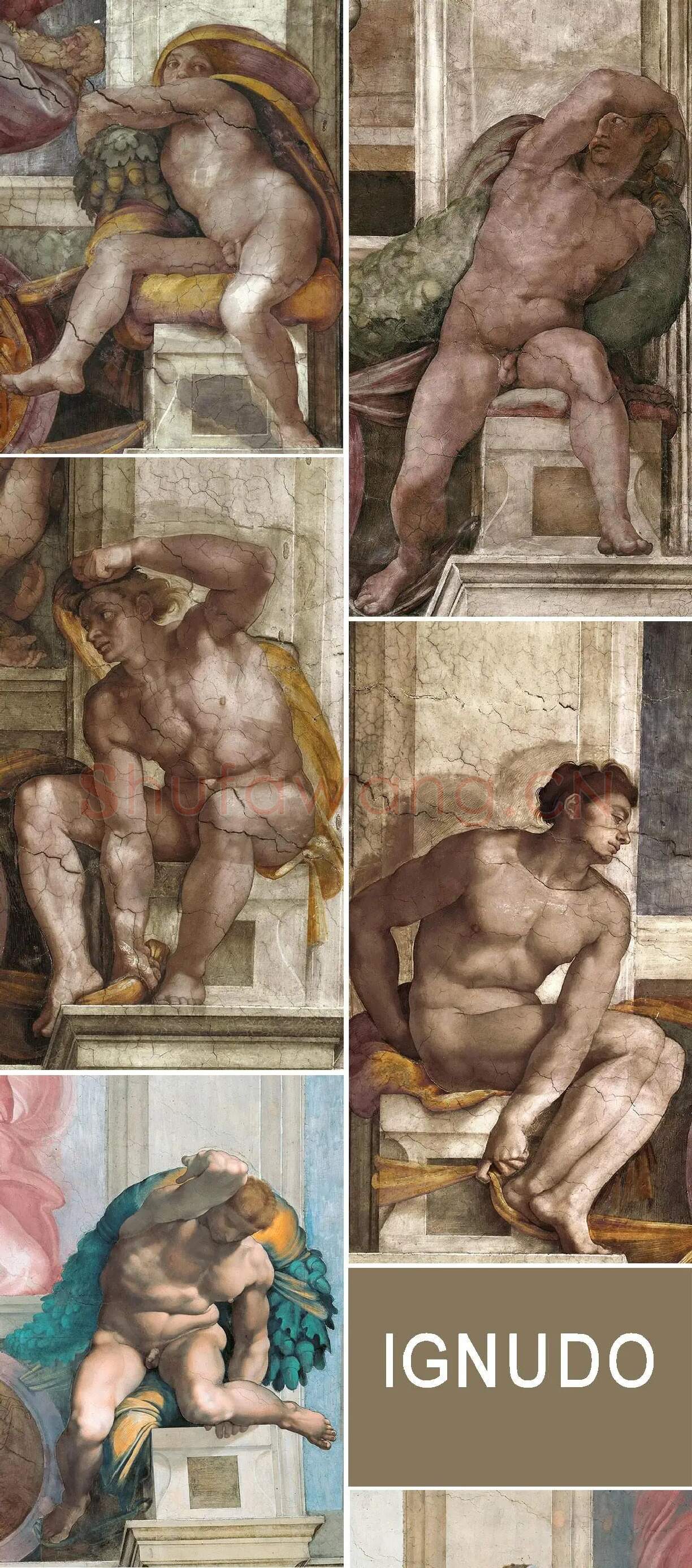 米开朗基罗壁画《Ignudo系列男性裸体肖像》_03