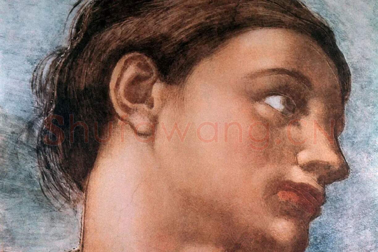 米开朗基罗壁画作品《创造亚当》局部 (1)