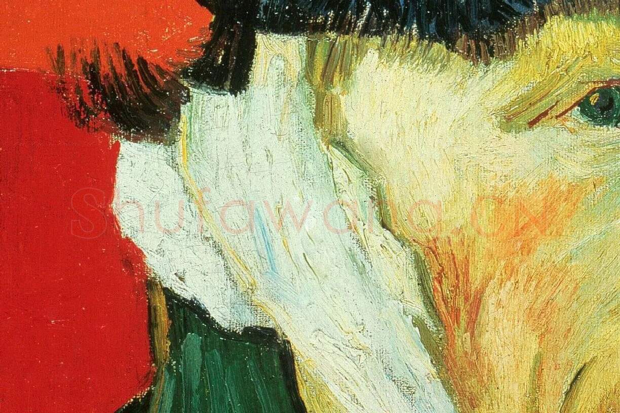 梵高《割掉耳朵后叼着烟斗的自画像》局部 (3)