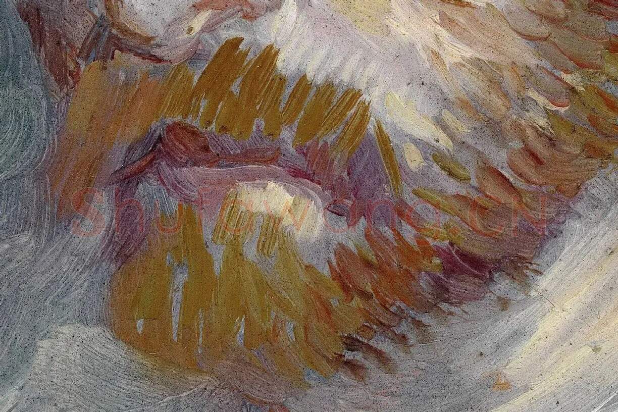 梵高自油画肖像作品《自画像》局部 (2)