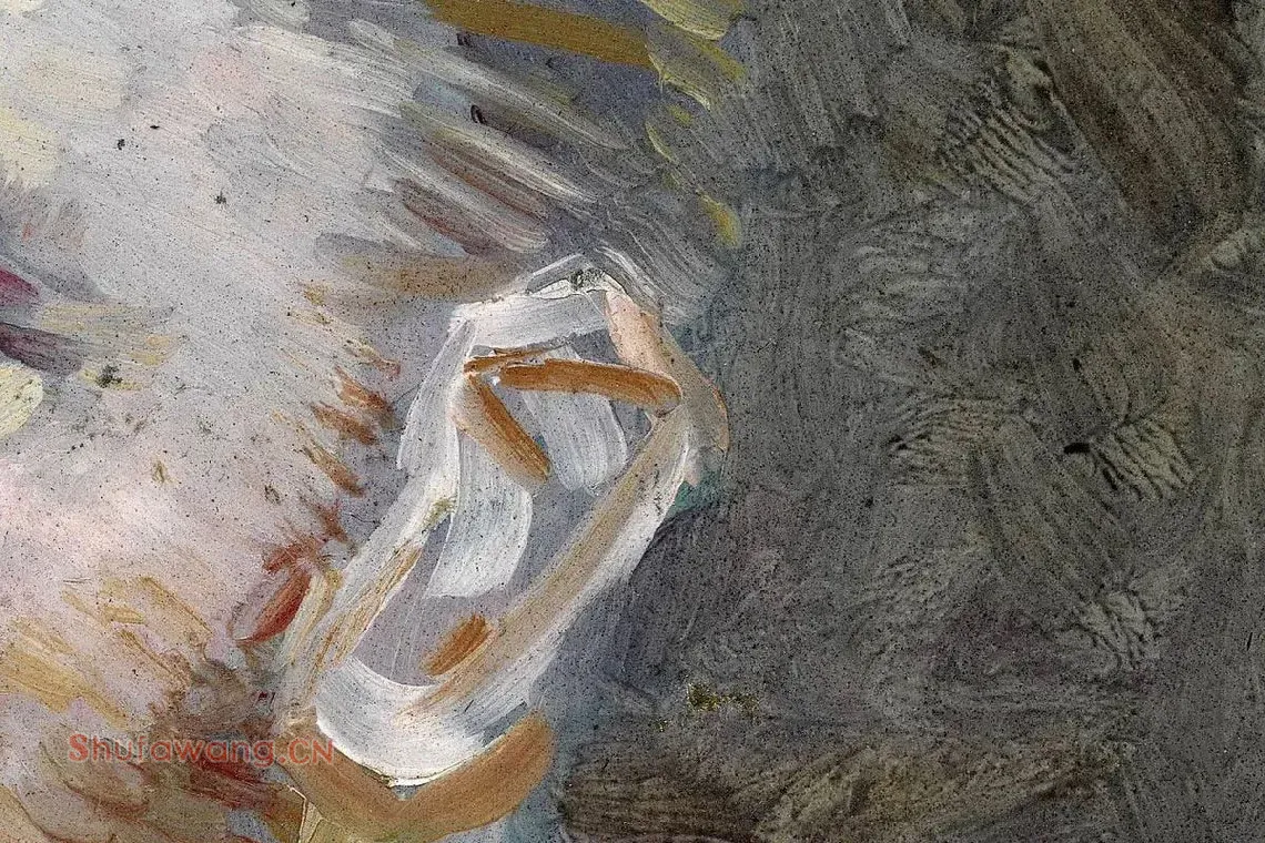 梵高自油画肖像作品《自画像》局部 (3)