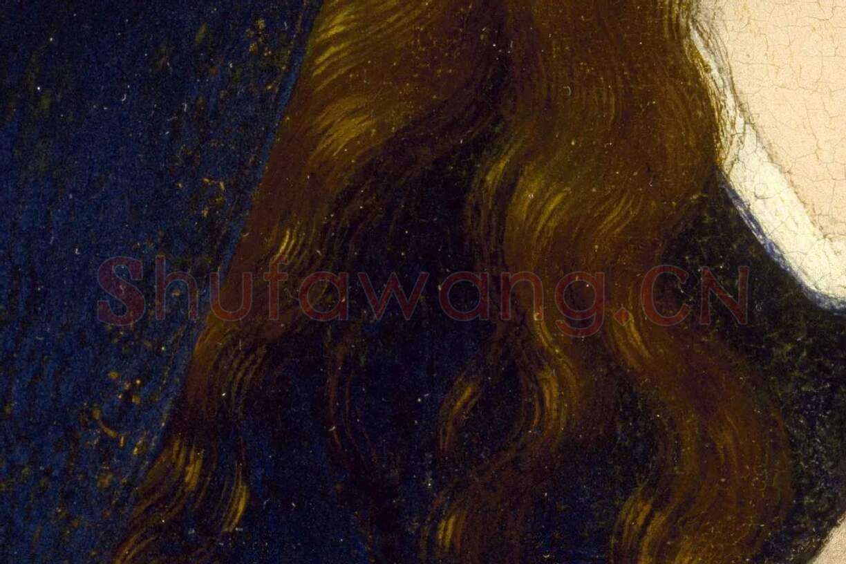 维登宗教人物画《圣母与圣子》局部 (6)