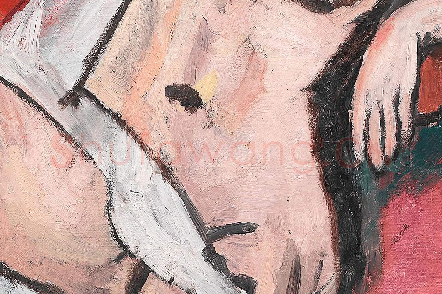 马蒂斯《戴白围巾的裸女》局部 (2)