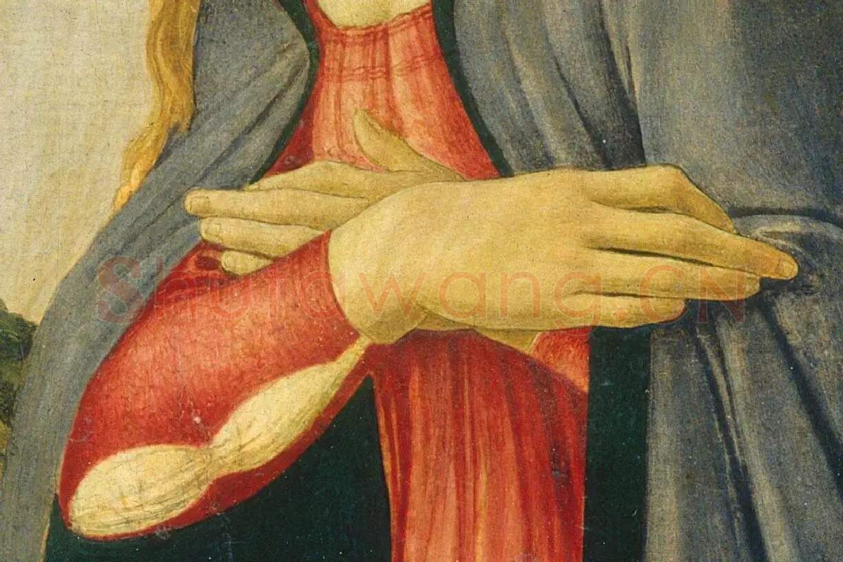 桑德罗·波提作品《圣母崇拜孩子》 (2)