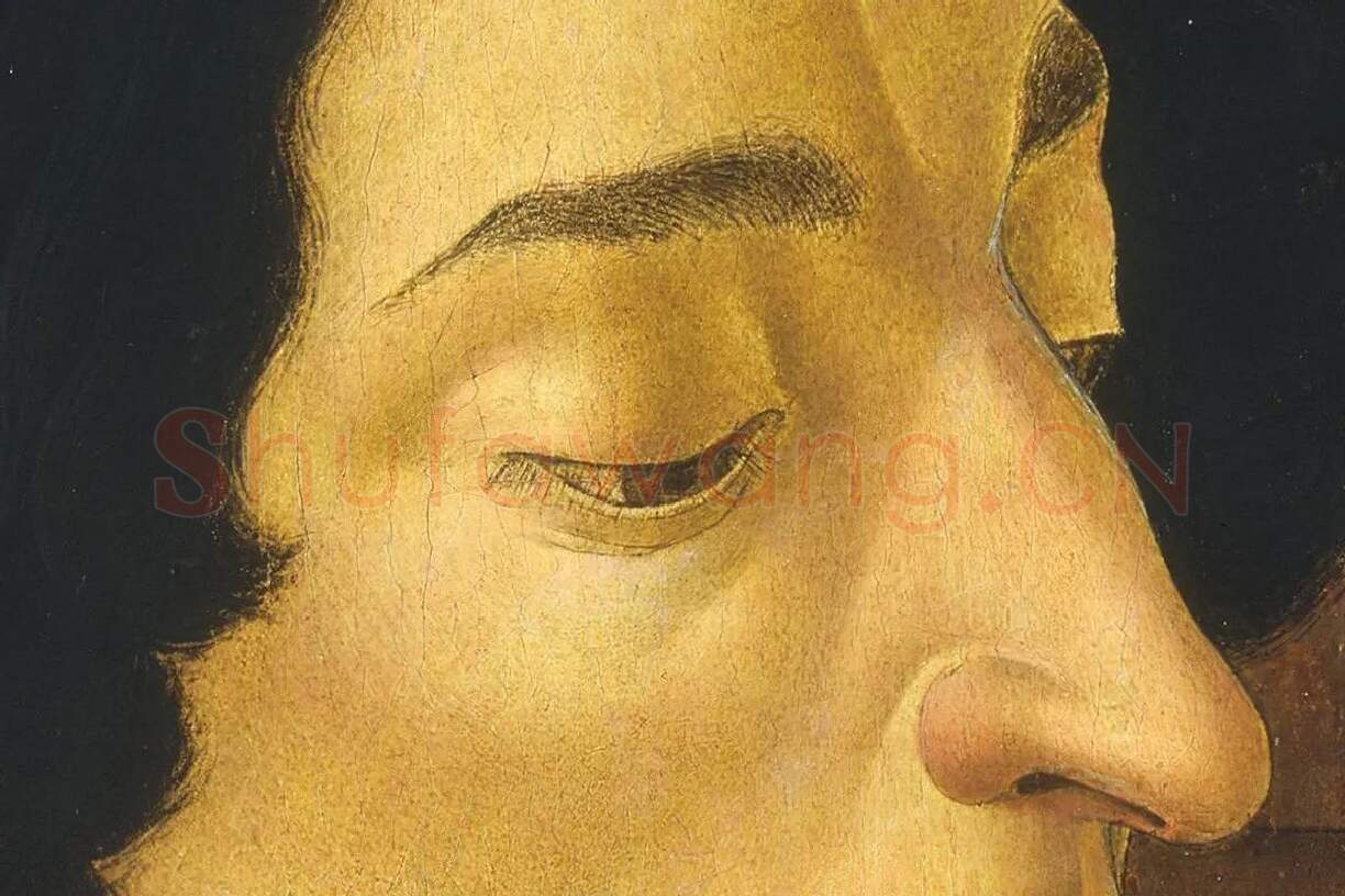 朱利亚诺·德·梅迪奇肖像局部 (1)