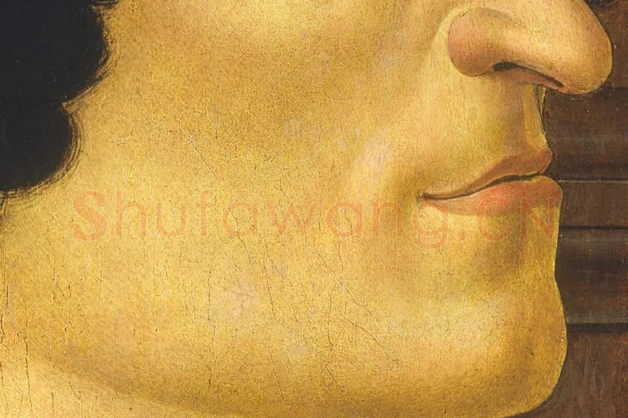 朱利亚诺·德·梅迪奇肖像局部 (2)