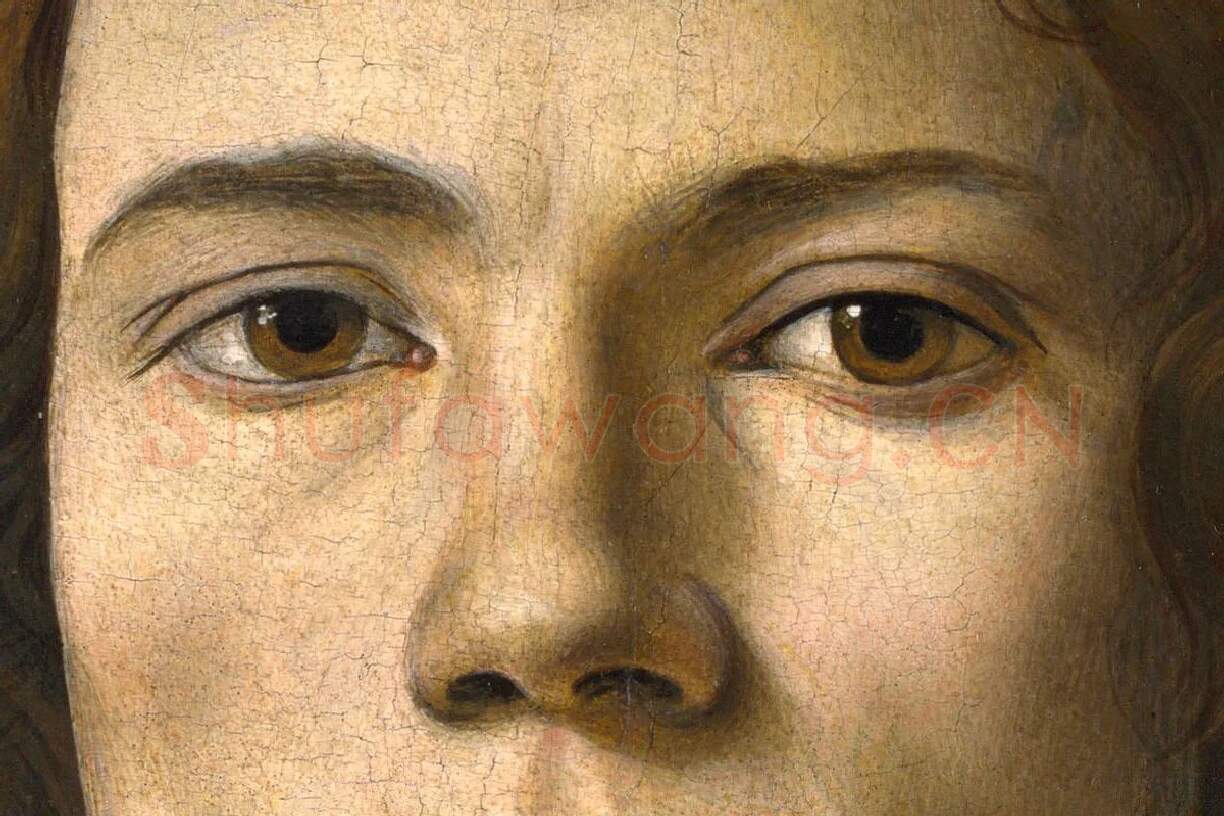 波提切利作品《年轻男子的肖像画》局部 (1)