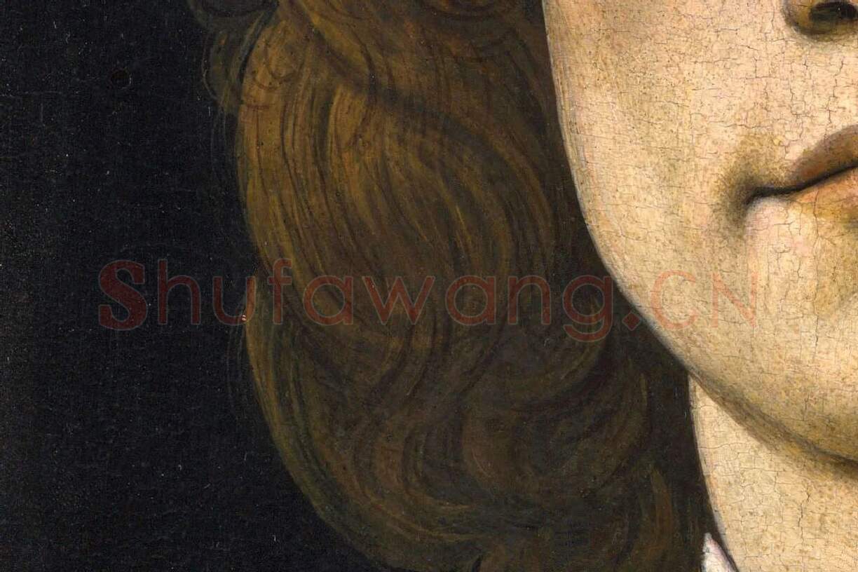 波提切利作品《年轻男子的肖像画》局部 (5)