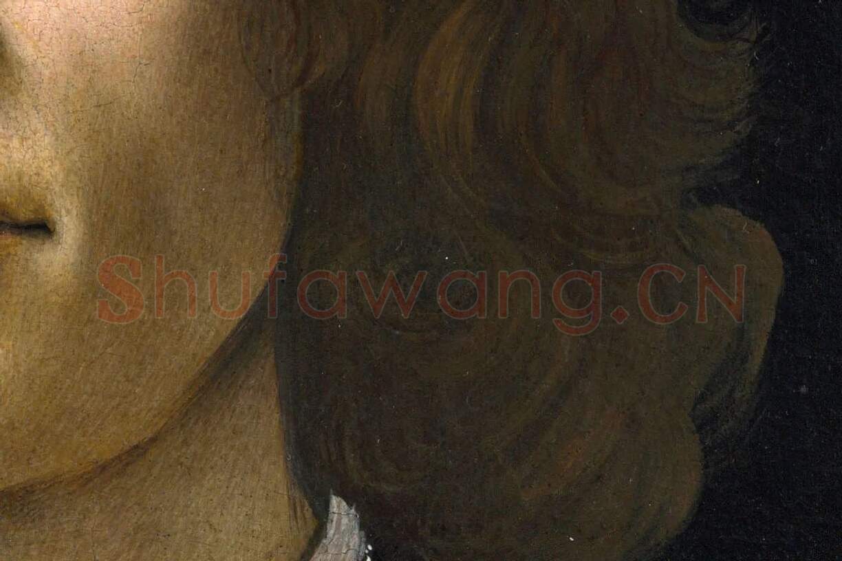 波提切利作品《年轻男子的肖像画》局部 (6)