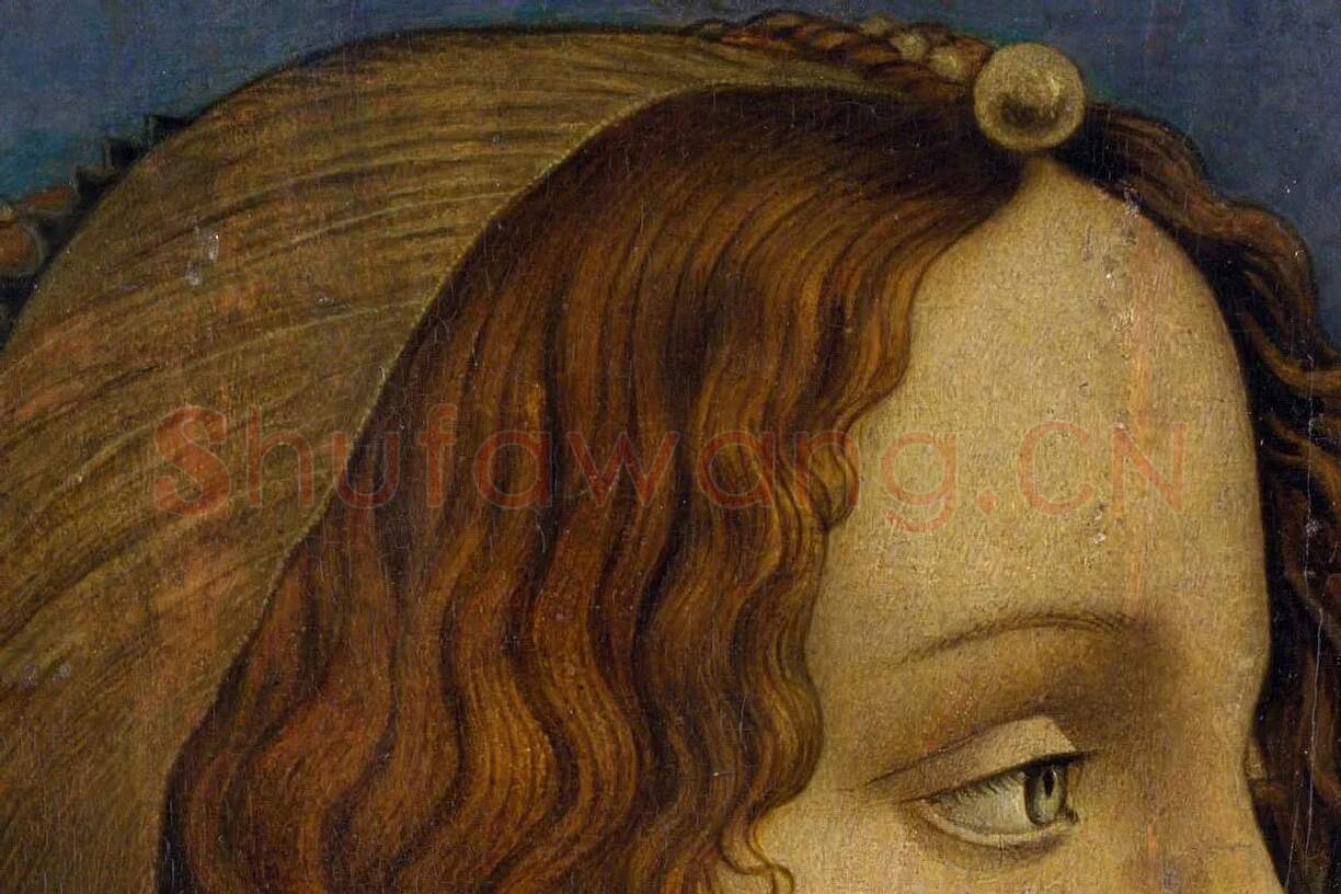 波提切利肖像画作品《侧面女士肖像》局部 (3)