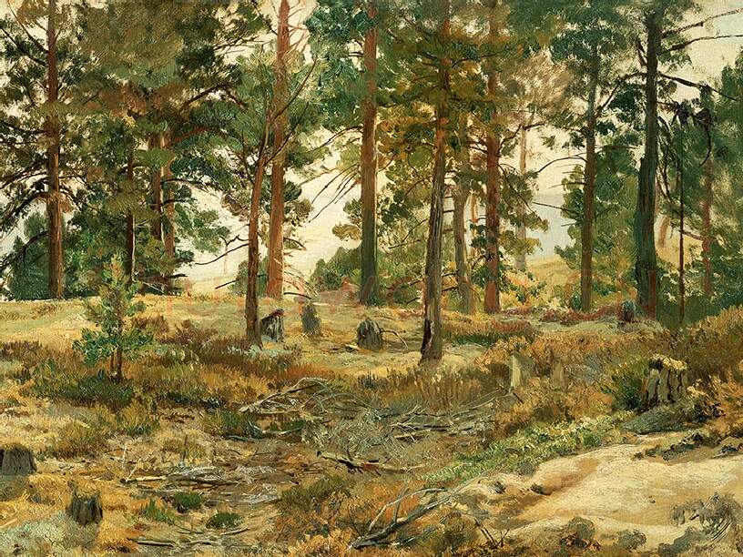 希施金油画树林风景