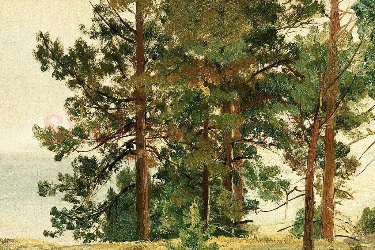 希施金油画树林风景局部 (2)