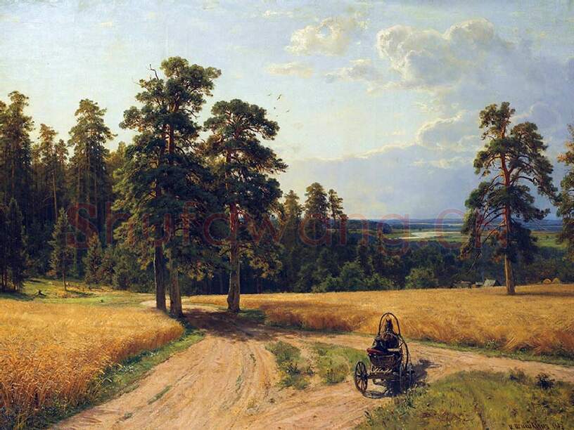 希施金油画 松树林旁的麦田风景