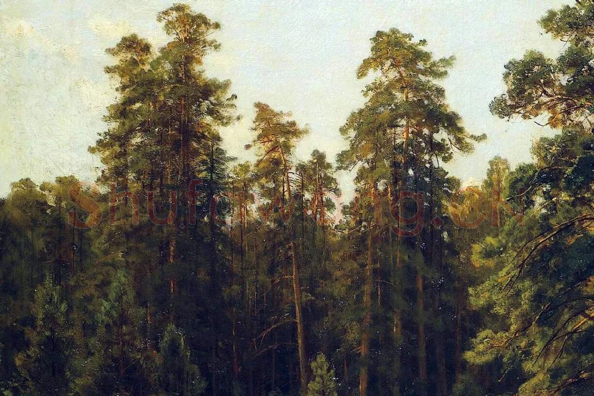 希施金油画树林与麦田风景局部 (1)