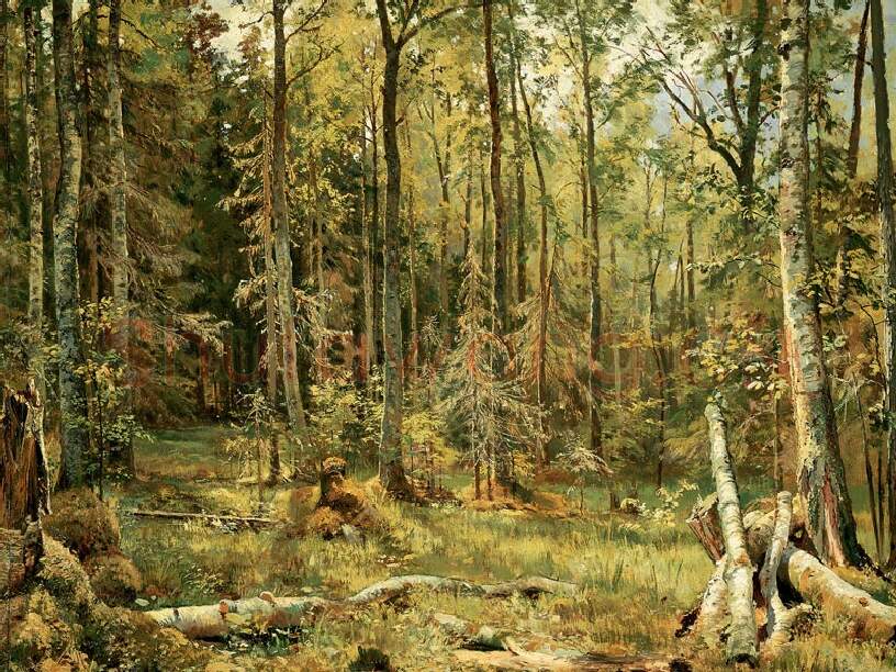 希施金作品 阳光森林风景画
