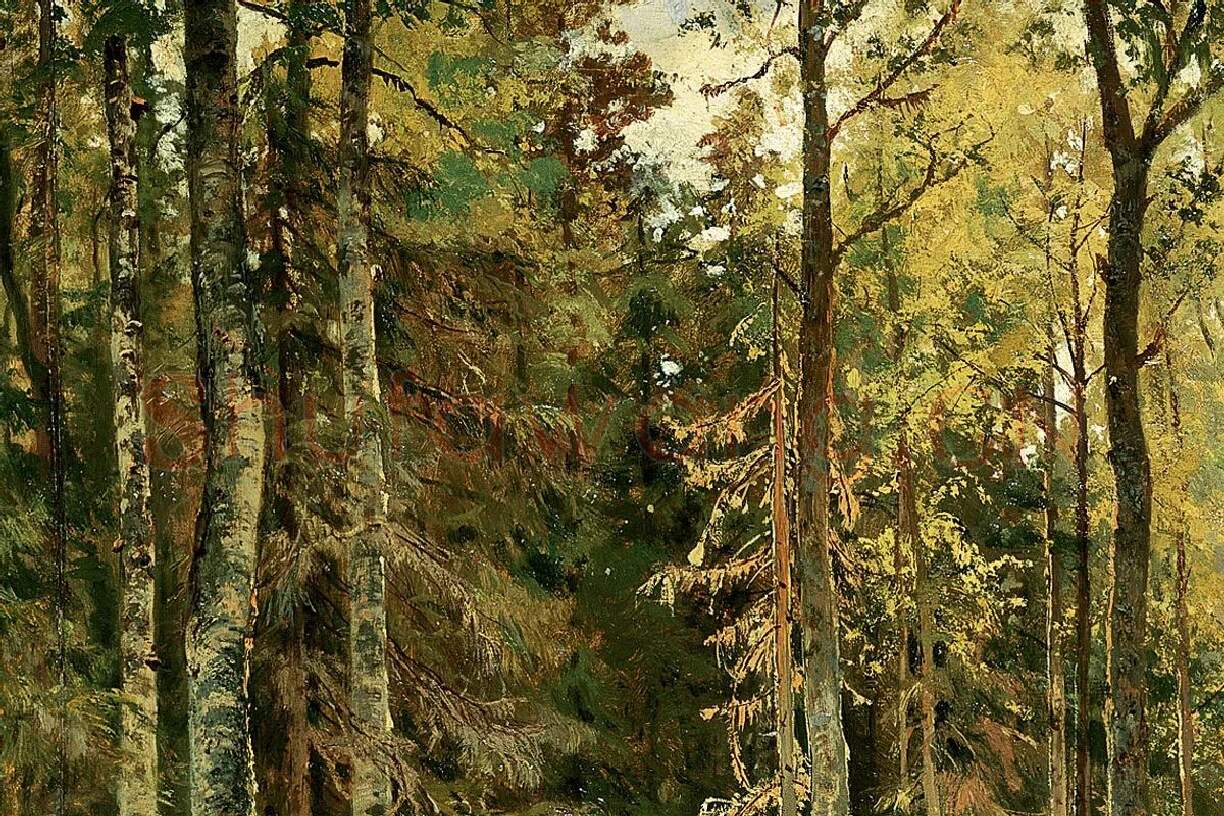希施金森林景画局部 (1)