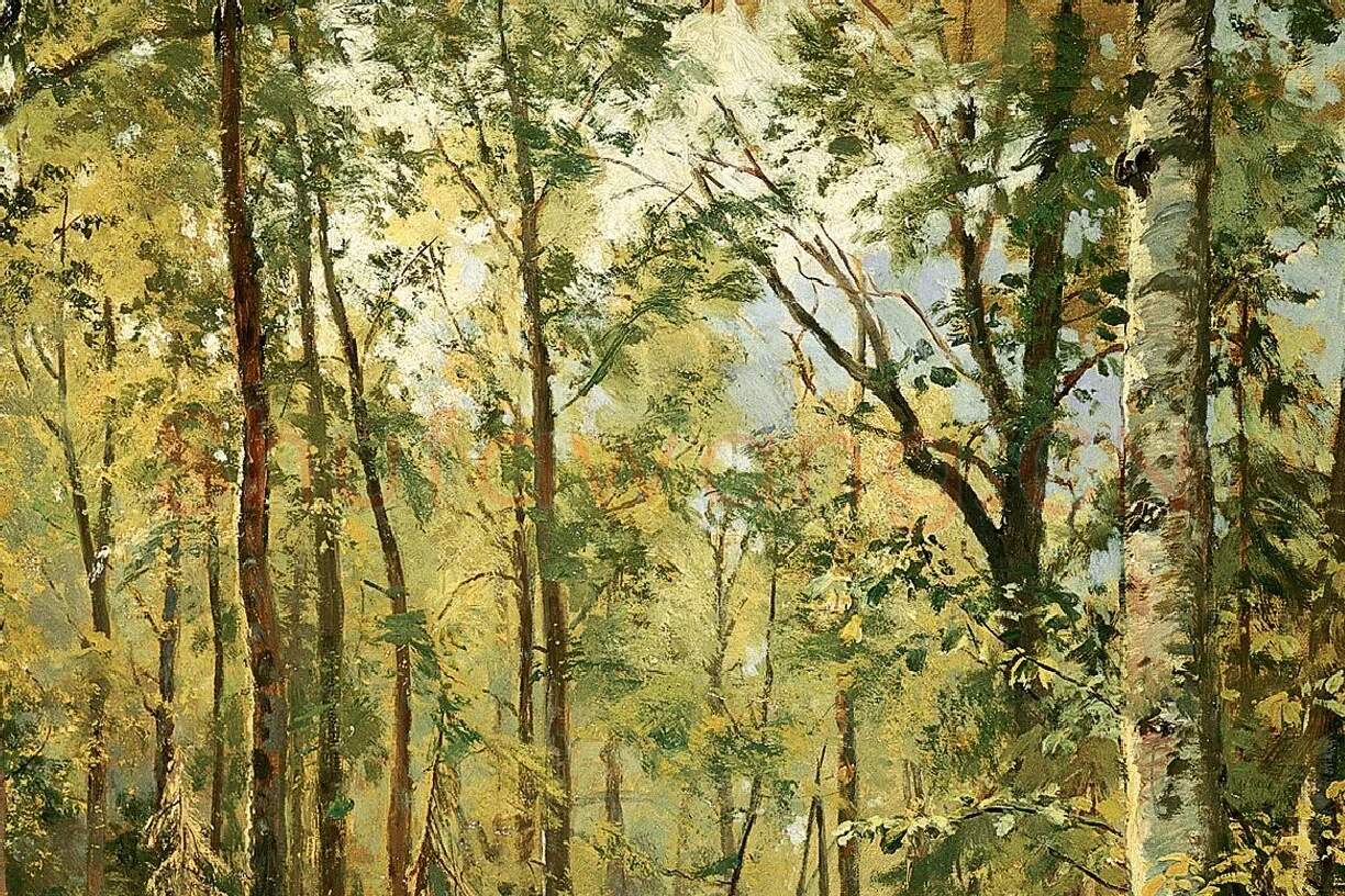 希施金森林景画局部 (2)