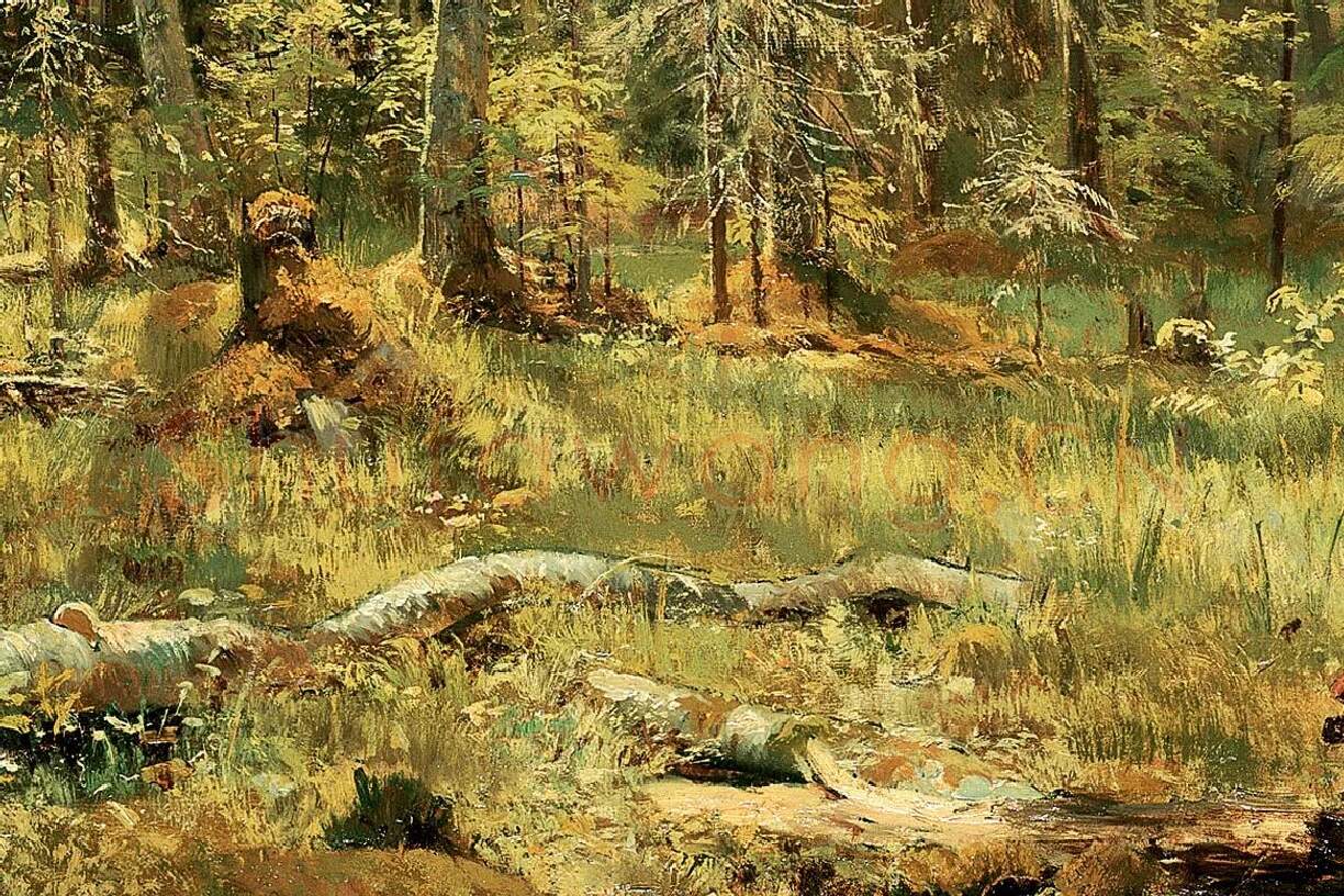 希施金森林景画局部 (3)