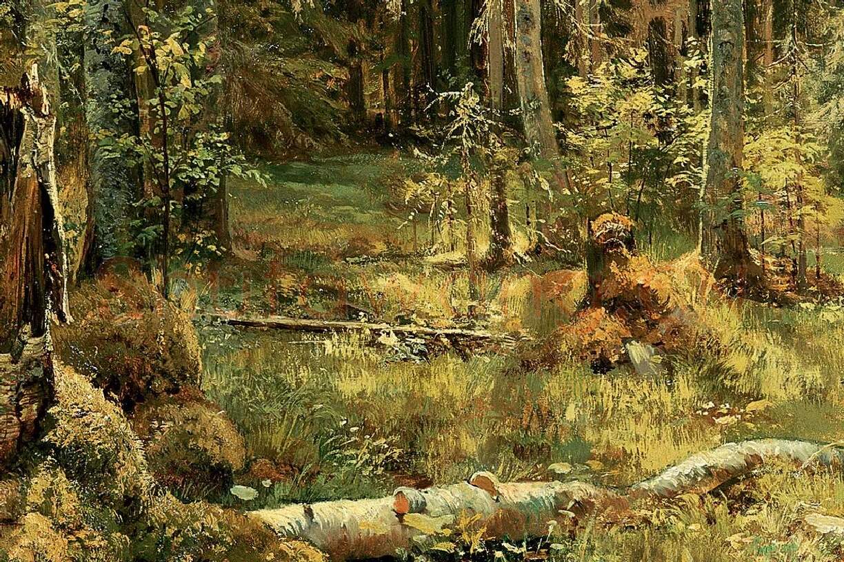 希施金森林景画局部 (4)