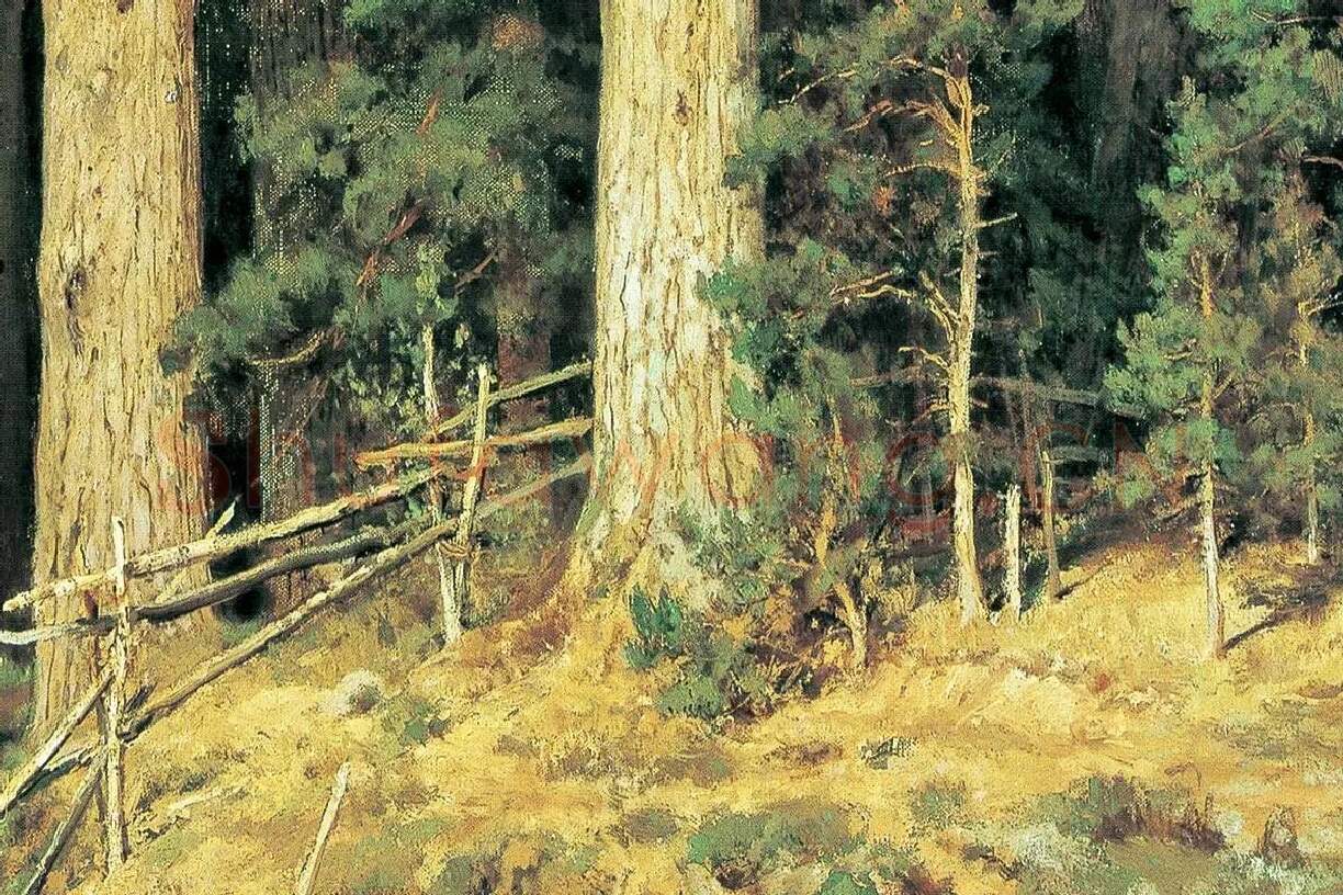 希施金油画森林松树风景局部 (1)