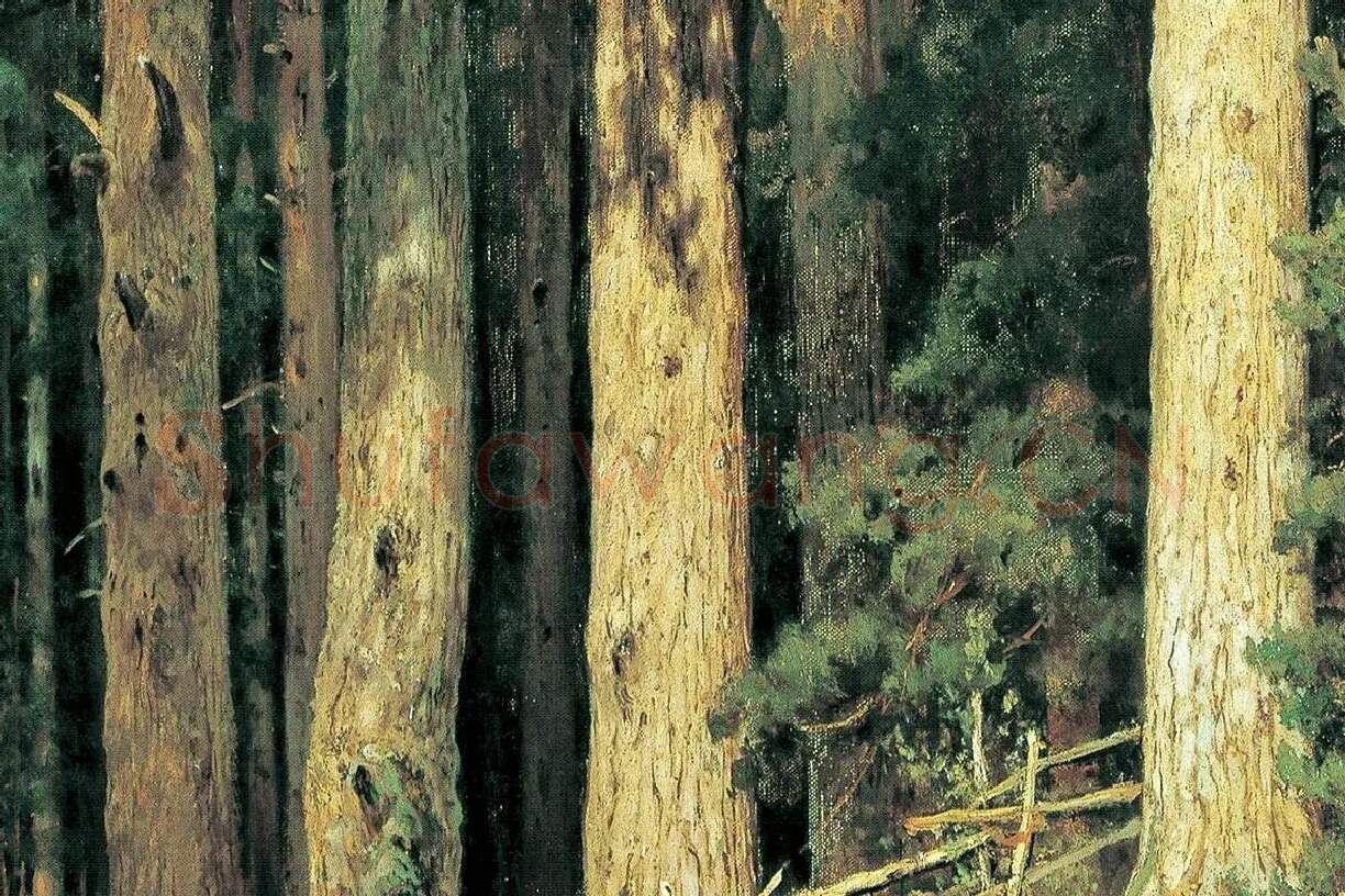 希施金油画森林松树风景局部 (2)