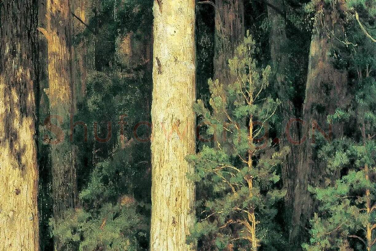 希施金油画森林松树风景局部 (3)