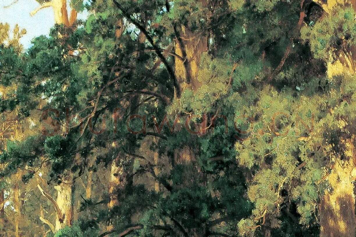 希施金油画森林松树风景局部 (4)