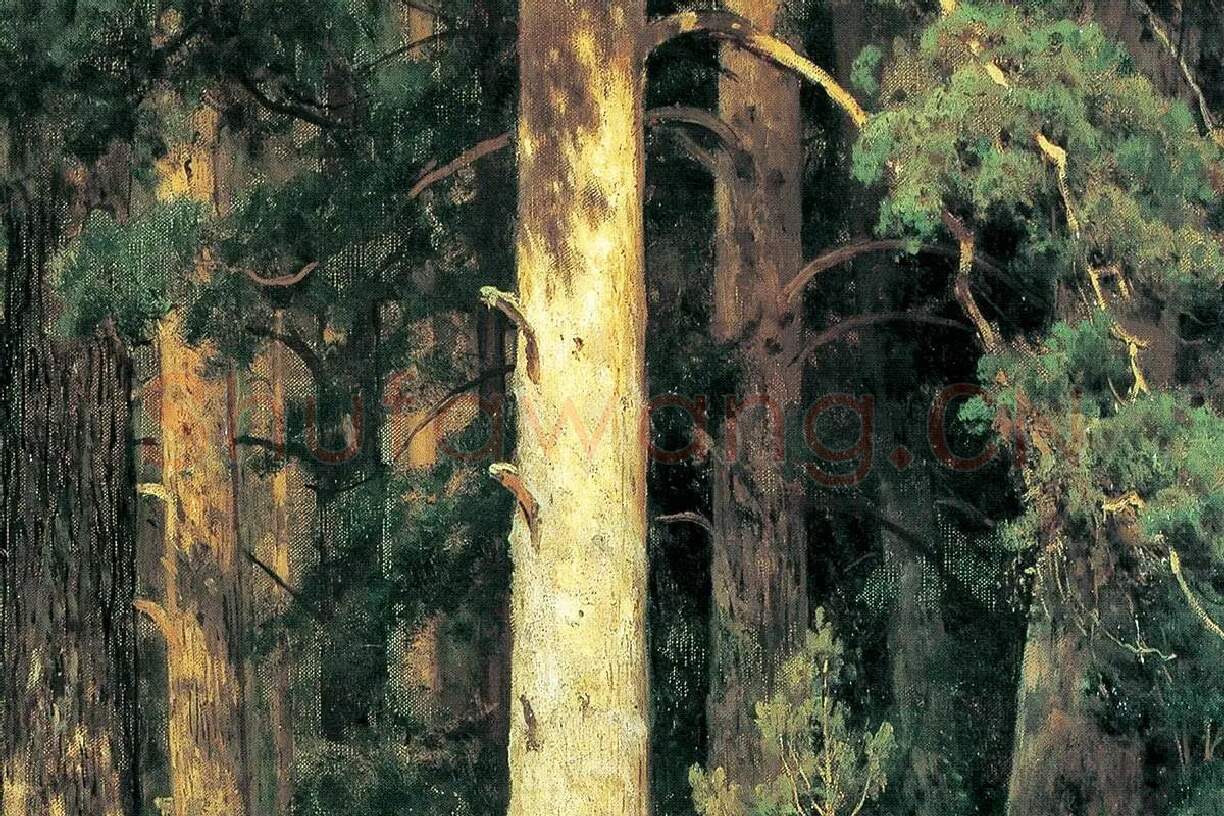 希施金油画森林松树风景局部 (6)