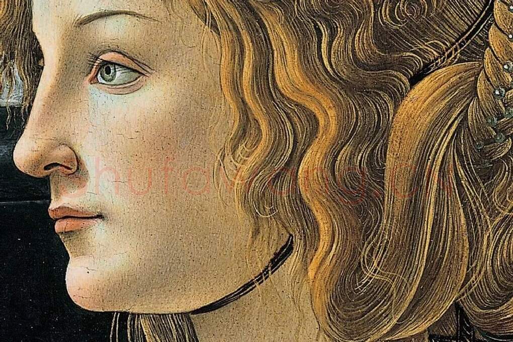 波提切利作品《年轻女子肖像》局部 (1)