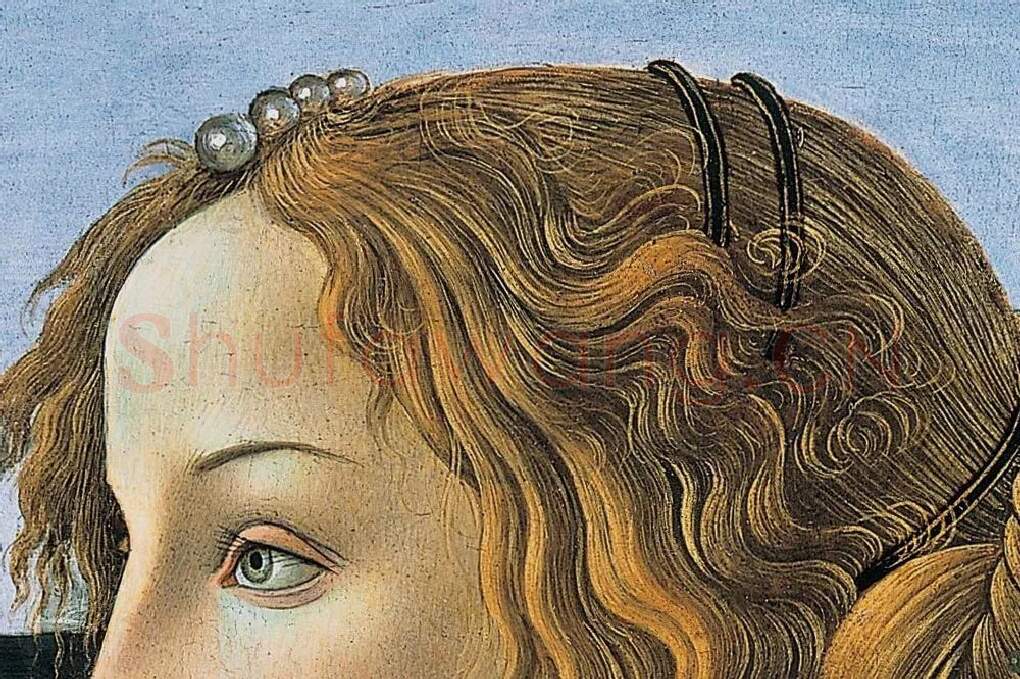 波提切利作品《年轻女子肖像》局部 (3)