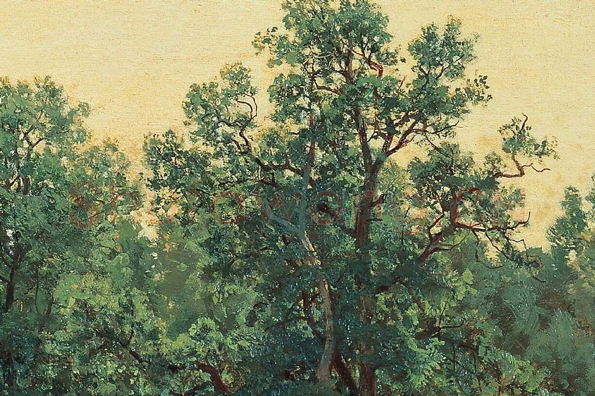 希施金树林与草地风风景画作品局部 (3)