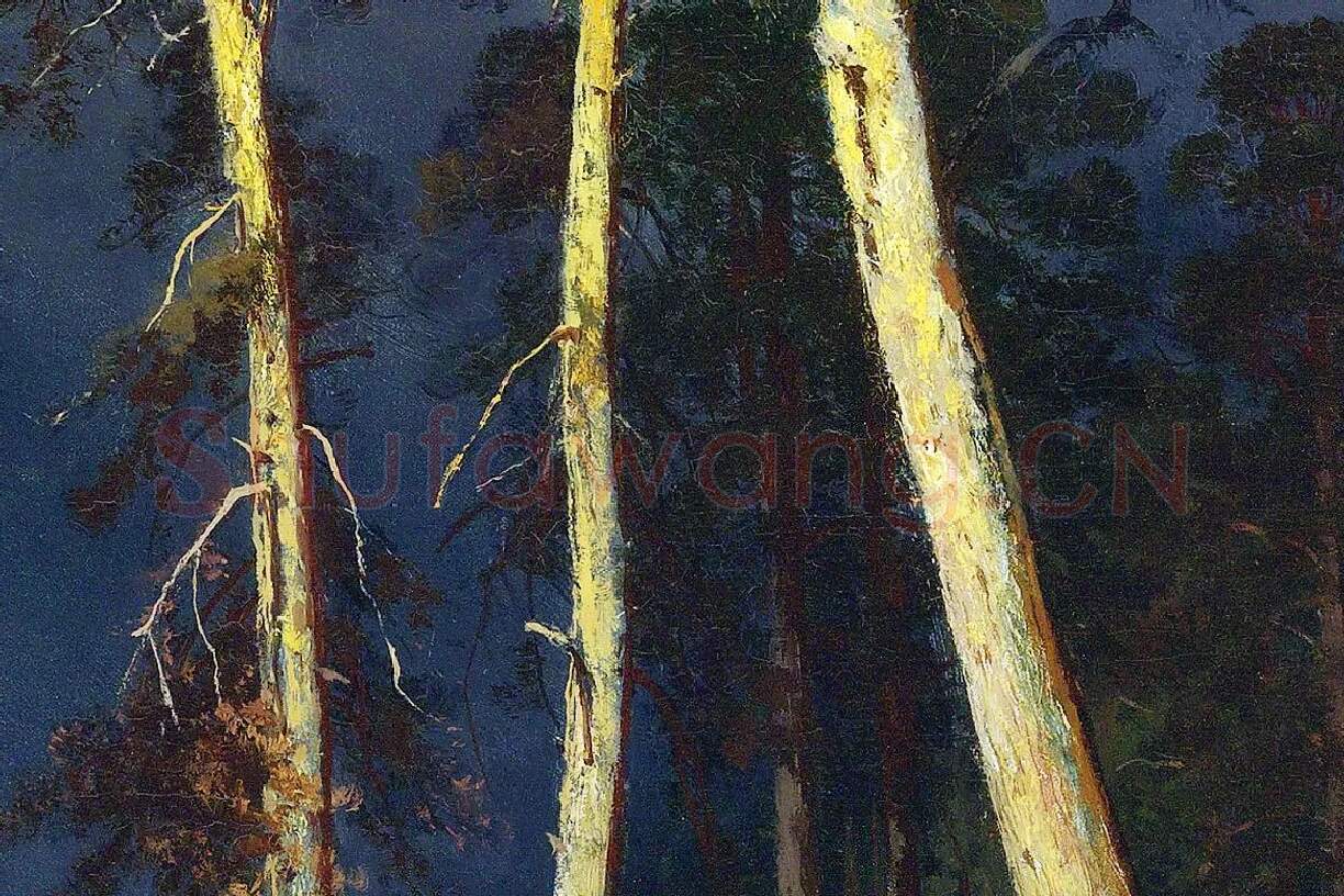希施金油画松树风景局部 (3)