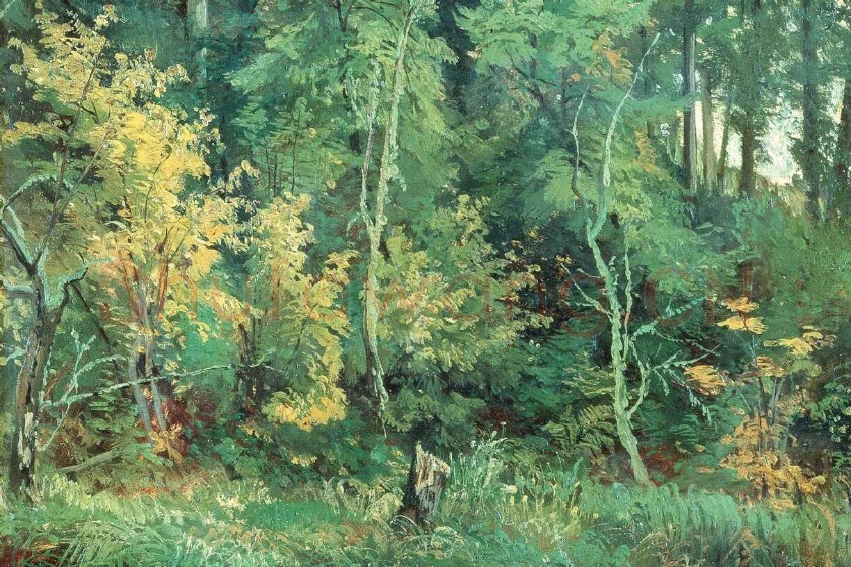 希施金风景画池塘边的树林局部 (2)