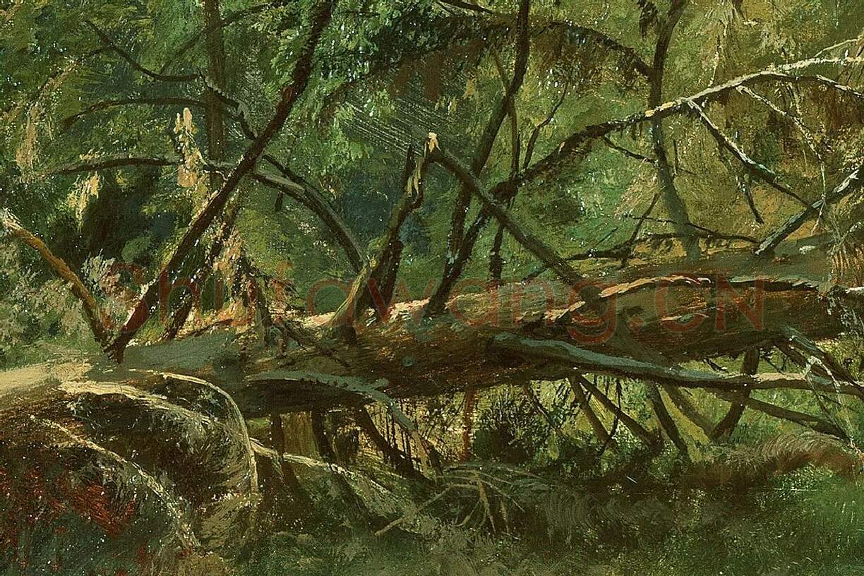 希施金森林风景画 树与树桩局部 (3)