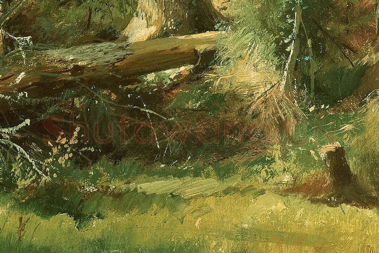 希施金森林风景画 树与树桩局部 (6)