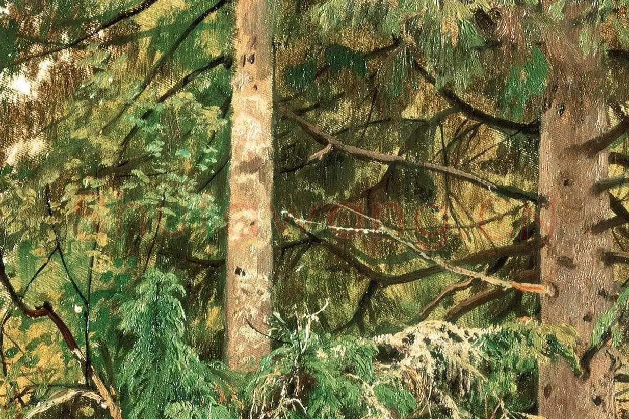 希施金油画树木树干局部 (1)