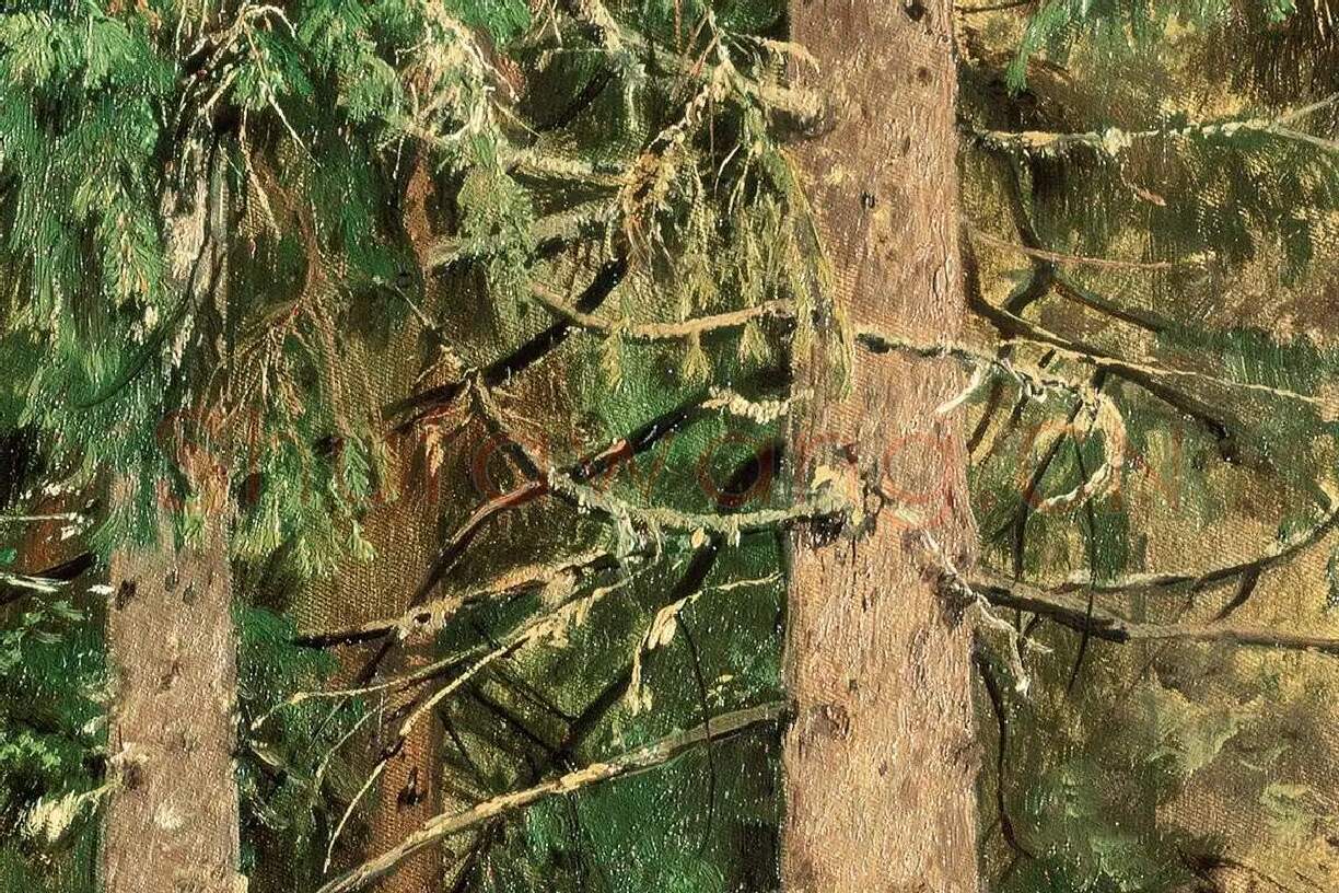 希施金油画树木树干局部 (2)