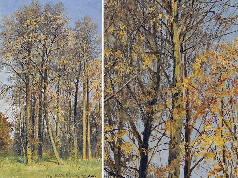 希施金风景画 秋天的树林