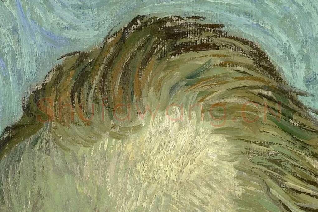 梵高自画像局部 (2)