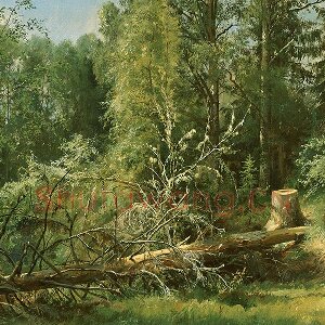 希施金森林风景画树与树桩