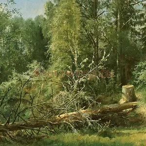 希施金森林风景画树与树桩