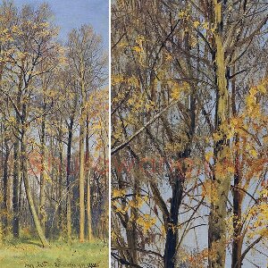 希施金风景画 秋天的树林
