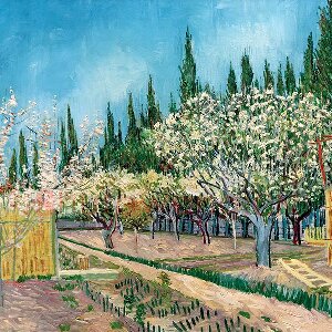 梵高油画风景《盛开的果园，四周环绕着柏树》