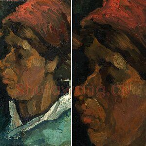 梵高油画头像《戴帽子的农妇侧面头像》