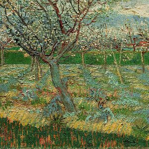 梵高油画风景《盛开的杏花》