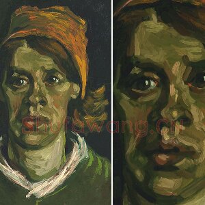 梵高油画头像习作《女人头像》